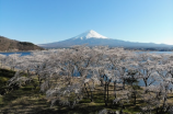揭秘：富士山其实是个活火山？！